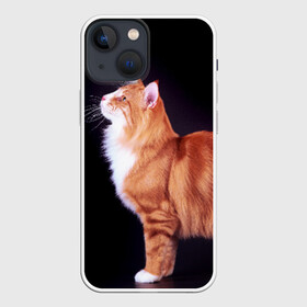 Чехол для iPhone 13 mini с принтом Рыжий кот в городе Новоалтайск,  |  | домашняя | животное | кот | котэ | кошка | рыжая