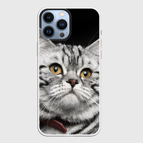 Чехол для iPhone 13 Pro Max с принтом Кот в городе Новоалтайск,  |  | Тематика изображения на принте: домашняя | животное | кот | котэ | кошка