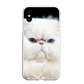 Чехол для iPhone XS Max матовый с принтом Персидский кот в городе Новоалтайск, Силикон | Область печати: задняя сторона чехла, без боковых панелей | домашняя | животное | кот | котэ | кошка | персидский