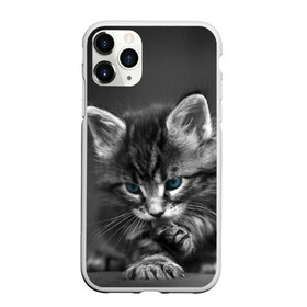 Чехол для iPhone 11 Pro матовый с принтом Котенок в городе Новоалтайск, Силикон |  | домашняя | животное | кот | котэ | кошка