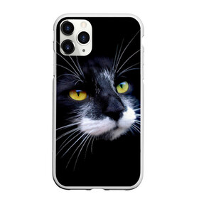 Чехол для iPhone 11 Pro матовый с принтом Кот в городе Новоалтайск, Силикон |  | домашняя | животное | кот | котэ | кошка