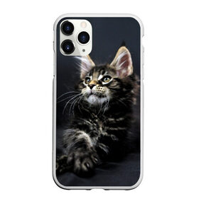 Чехол для iPhone 11 Pro Max матовый с принтом Кот в городе Новоалтайск, Силикон |  | домашняя | животное | кот | котэ | кошка