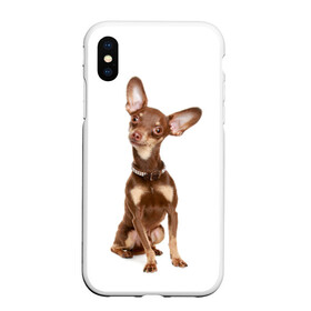 Чехол для iPhone XS Max матовый с принтом Той-терьер в городе Новоалтайск, Силикон | Область печати: задняя сторона чехла, без боковых панелей | животное | порода | собака | той терьер