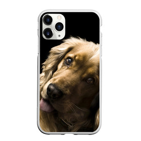 Чехол для iPhone 11 Pro Max матовый с принтом Английский кокер-спаниель в городе Новоалтайск, Силикон |  | Тематика изображения на принте: английский кокер спаниель | животно | порода | собака