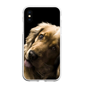 Чехол для iPhone XS Max матовый с принтом Английский кокер-спаниель в городе Новоалтайск, Силикон | Область печати: задняя сторона чехла, без боковых панелей | Тематика изображения на принте: английский кокер спаниель | животно | порода | собака