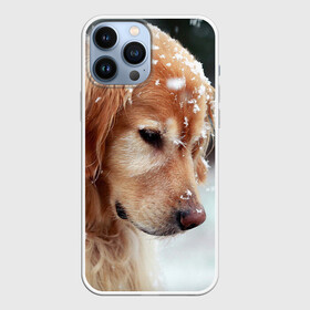 Чехол для iPhone 13 Pro Max с принтом Золотистый ретривер в городе Новоалтайск,  |  | животное | золотистый ретривер | порода | собака