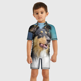 Детский купальный костюм 3D с принтом Колли в городе Новоалтайск, Полиэстер 85%, Спандекс 15% | застежка на молнии на спине | животное | колли | порода | собака