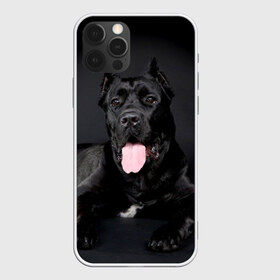 Чехол для iPhone 12 Pro Max с принтом Канне корсо в городе Новоалтайск, Силикон |  | Тематика изображения на принте: животное | канне корсо | порода | собака