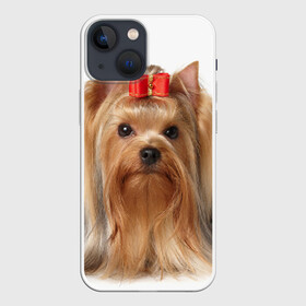 Чехол для iPhone 13 mini с принтом Йоркширский терьер в городе Новоалтайск,  |  | животное | йоркширский терьер | порода | собака