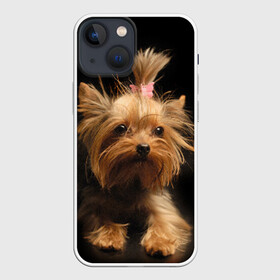 Чехол для iPhone 13 mini с принтом Йоркширский терьер в городе Новоалтайск,  |  | животное | йоркширский терьер | порода | собака