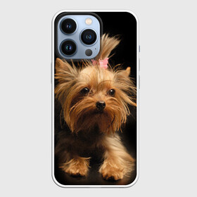 Чехол для iPhone 13 Pro с принтом Йоркширский терьер в городе Новоалтайск,  |  | животное | йоркширский терьер | порода | собака