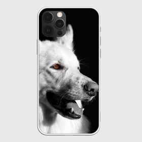 Чехол для iPhone 12 Pro Max с принтом Белая овчарка в городе Новоалтайск, Силикон |  | Тематика изображения на принте: белая овчарка | животное | порода | собака