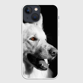 Чехол для iPhone 13 mini с принтом Белая овчарка в городе Новоалтайск,  |  | белая овчарка | животное | порода | собака