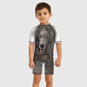 Детский купальный костюм 3D с принтом Пудель в городе Новоалтайск, Полиэстер 85%, Спандекс 15% | застежка на молнии на спине | животное | порода | пудель | собака