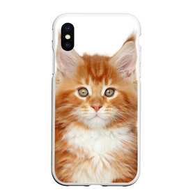 Чехол для iPhone XS Max матовый с принтом Рыжий котенок в городе Новоалтайск, Силикон | Область печати: задняя сторона чехла, без боковых панелей | животное | порода | рыжий котенок