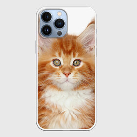 Чехол для iPhone 13 Pro Max с принтом Рыжий котенок в городе Новоалтайск,  |  | Тематика изображения на принте: животное | порода | рыжий котенок