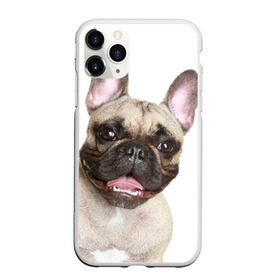 Чехол для iPhone 11 Pro матовый с принтом Французский бульдог в городе Новоалтайск, Силикон |  | животное | порода | собака | французский бульдог