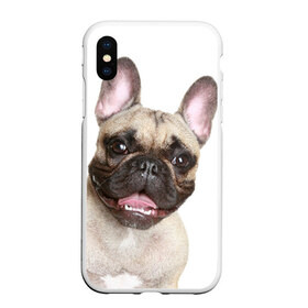 Чехол для iPhone XS Max матовый с принтом Французский бульдог в городе Новоалтайск, Силикон | Область печати: задняя сторона чехла, без боковых панелей | животное | порода | собака | французский бульдог