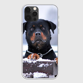 Чехол для iPhone 12 Pro Max с принтом Ротвейлер в городе Новоалтайск, Силикон |  | Тематика изображения на принте: животное | порода | ротвейлер | собака