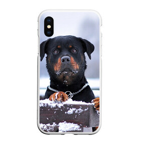 Чехол для iPhone XS Max матовый с принтом Ротвейлер в городе Новоалтайск, Силикон | Область печати: задняя сторона чехла, без боковых панелей | животное | порода | ротвейлер | собака