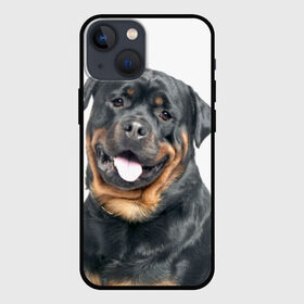 Чехол для iPhone 13 mini с принтом Ротвейлер в городе Новоалтайск,  |  | Тематика изображения на принте: животное | порода | ротвейлер | собака