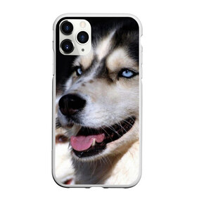Чехол для iPhone 11 Pro матовый с принтом Хаски в городе Новоалтайск, Силикон |  | животное | порода | собака | хаски
