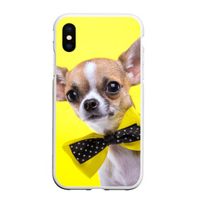 Чехол для iPhone XS Max матовый с принтом Чихуахуа в городе Новоалтайск, Силикон | Область печати: задняя сторона чехла, без боковых панелей | животное | порода | собака | чихуахуа