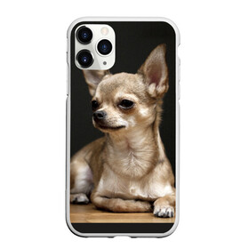 Чехол для iPhone 11 Pro Max матовый с принтом Чихуахуа в городе Новоалтайск, Силикон |  | животное | порода | собака | чихуахуа