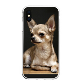 Чехол для iPhone XS Max матовый с принтом Чихуахуа в городе Новоалтайск, Силикон | Область печати: задняя сторона чехла, без боковых панелей | животное | порода | собака | чихуахуа
