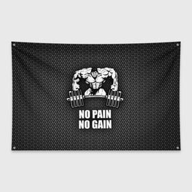 Флаг-баннер с принтом No pain no gain 2 в городе Новоалтайск, 100% полиэстер | размер 67 х 109 см, плотность ткани — 95 г/м2; по краям флага есть четыре люверса для крепления | bodybuilding | no pain no gain | train hard | бодибилдинг | качалка | пауэрлифинг | тренажерный | фитнес