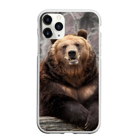 Чехол для iPhone 11 Pro матовый с принтом Русский медведь в городе Новоалтайск, Силикон |  | Тематика изображения на принте: медведь | россия | русский | русский медведь
