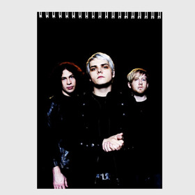 Скетчбук с принтом My Chemical Romance в городе Новоалтайск, 100% бумага
 | 48 листов, плотность листов — 100 г/м2, плотность картонной обложки — 250 г/м2. Листы скреплены сверху удобной пружинной спиралью | Тематика изображения на принте: anthony | black parade | bob bryar | famous last words | frank | gerard | james dewees | matt pelissier | mikey | my chemical romance | ray toro | sing | way | айеро | боб | брайар | деуис | джеймс | джерард уэй | майки | мэтт | пелишьер | рэй | торо | уэ