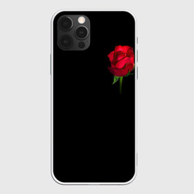 Чехол для iPhone 12 Pro Max с принтом Розы за спиной в городе Новоалтайск, Силикон |  | за спиной | любовь | подарок | роза | розы | сюрприз | цветы | чувства