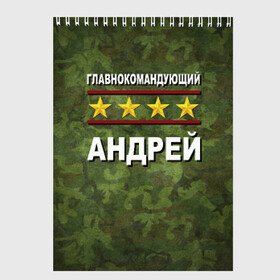 Скетчбук с принтом Главнокомандующий Андрей в городе Новоалтайск, 100% бумага
 | 48 листов, плотность листов — 100 г/м2, плотность картонной обложки — 250 г/м2. Листы скреплены сверху удобной пружинной спиралью | Тематика изображения на принте: 23 февраля | андрей | главнокомандующий | камуфляж