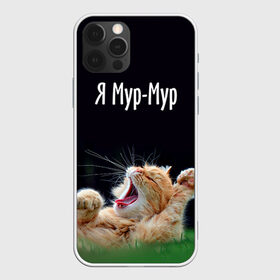 Чехол для iPhone 12 Pro Max с принтом Мур мур в городе Новоалтайск, Силикон |  | киса | кот | котики | кошка | мур | мурмур | прикольные | смешной котик | ямурмур