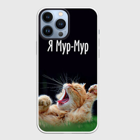 Чехол для iPhone 13 Pro Max с принтом Мур мур в городе Новоалтайск,  |  | Тематика изображения на принте: киса | кот | котики | кошка | мур | мурмур | прикольные | смешной котик | ямурмур