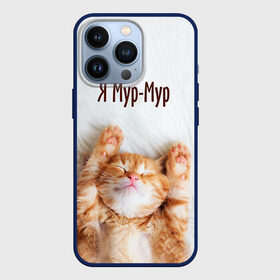 Чехол для iPhone 13 Pro с принтом Я мур мур в городе Новоалтайск,  |  | киса | кот | котики | кошка | мур | мурмур | прикольные | смешной котик | ямурмур
