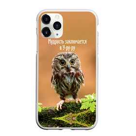 Чехол для iPhone 11 Pro матовый с принтом Уруру в городе Новоалтайск, Силикон |  | сова