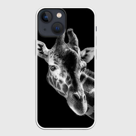 Чехол для iPhone 13 mini с принтом Жираф в городе Новоалтайск,  |  | африка | животное | жираф | фон | фото | черно белое | черный