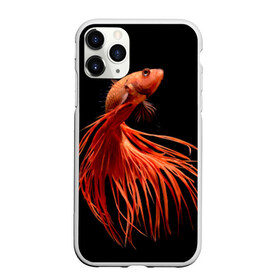 Чехол для iPhone 11 Pro матовый с принтом Бойцовая рыбка в городе Новоалтайск, Силикон |  | аквариумная | бойцовая | красивый | плавники | рыба | рыбка | хвост | япаонская