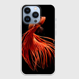 Чехол для iPhone 13 Pro с принтом Бойцовая рыбка в городе Новоалтайск,  |  | аквариумная | бойцовая | красивый | плавники | рыба | рыбка | хвост | япаонская