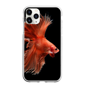 Чехол для iPhone 11 Pro Max матовый с принтом Бойцовая рыбка в городе Новоалтайск, Силикон |  | аквариумная | бойцовая | красивый | плавники | рыба | рыбка | хвост | япаонская