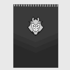 Скетчбук с принтом G2 eSports в городе Новоалтайск, 100% бумага
 | 48 листов, плотность листов — 100 г/м2, плотность картонной обложки — 250 г/м2. Листы скреплены сверху удобной пружинной спиралью | csgo | cybersport | esports | g2 | team | г2 | ксго