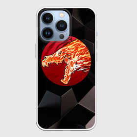 Чехол для iPhone 13 Pro с принтом Howl в городе Новоалтайск,  |  | Тематика изображения на принте: awp | cs go | howl | винтовка | вой | дракон | контр | кс го | ксго | м4а4 | скин | страйк