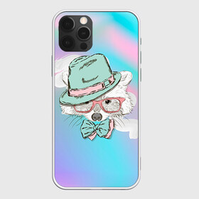 Чехол для iPhone 12 Pro Max с принтом Енот в шляпе в городе Новоалтайск, Силикон |  | Тематика изображения на принте: енот
