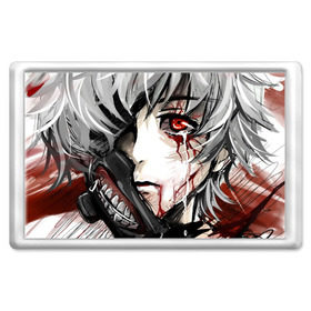 Магнит 45*70 с принтом Tokyo Ghoul в городе Новоалтайск, Пластик | Размер: 78*52 мм; Размер печати: 70*45 | anime | ghoul | tokyo | tokyo ghoul | гуль