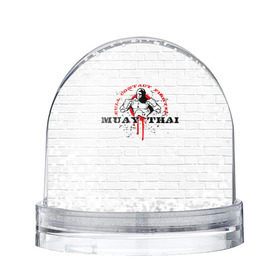 Снежный шар с принтом Muay thai 7 в городе Новоалтайск, Пластик | Изображение внутри шара печатается на глянцевой фотобумаге с двух сторон | muay thai