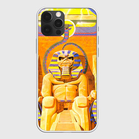 Чехол для iPhone 12 Pro Max с принтом Iron maiden 3 в городе Новоалтайск, Силикон |  | айран мейден | айран мэйден | айрон мейден | айрон мэйден | айрон мэйдэн | байк