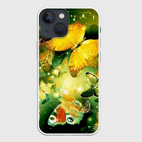 Чехол для iPhone 13 mini с принтом Бабочки в городе Новоалтайск,  |  | разноцветный | яркие