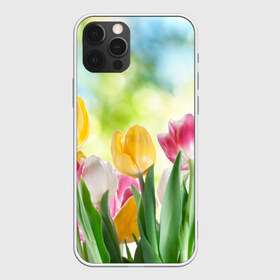 Чехол для iPhone 12 Pro Max с принтом Тюльпаны в городе Новоалтайск, Силикон |  | букет | цветы